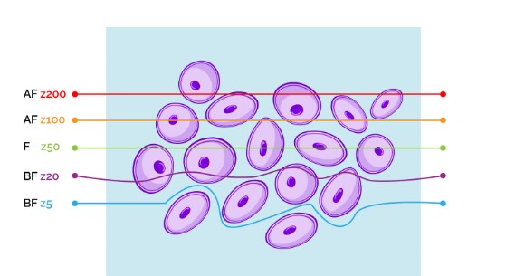 Valutazione BIA: Alleato del Biologo Nutrizionista per valutare la composizione  corporea » REHAB SOLUTION